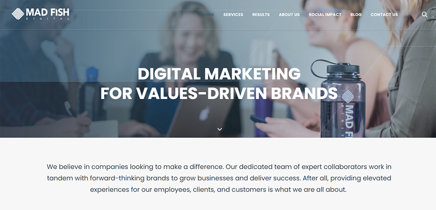 healthcare digital marketing agency